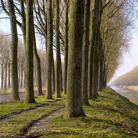 In Near Sint-andre Beach, Cleaning Included * Koksijde